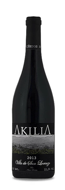 Akilia Villa De San Lorenzo 2021