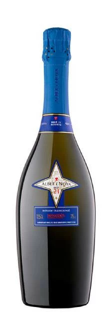Albet I Noya Brut 21