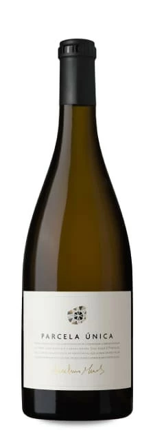 Anselmo Mendes Parcela Única 2020