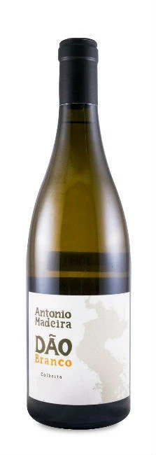 António Madeira Branco 2021