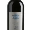 Embruix De Vall-Llach 2021 2 Embruix De Vall-Llach 2021 -The Wine Room Tienda De Ventas embruix de vall llach