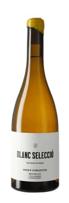 Josep Foraster Blanc Selecció 2022