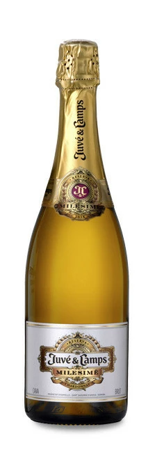 Juvé & Camps Milésimé 2018 3 Juvé & Camps Milésimé 2018