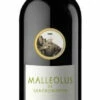 Malleolus De Sanchomartín 2019 -The Wine Room Tienda De Ventas malleolus de sanchomartin