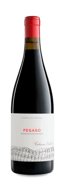 Pegaso Barrancos De Pizarra 2020