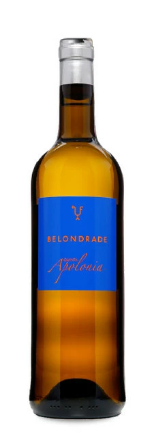 Quinta Apolonia 2022